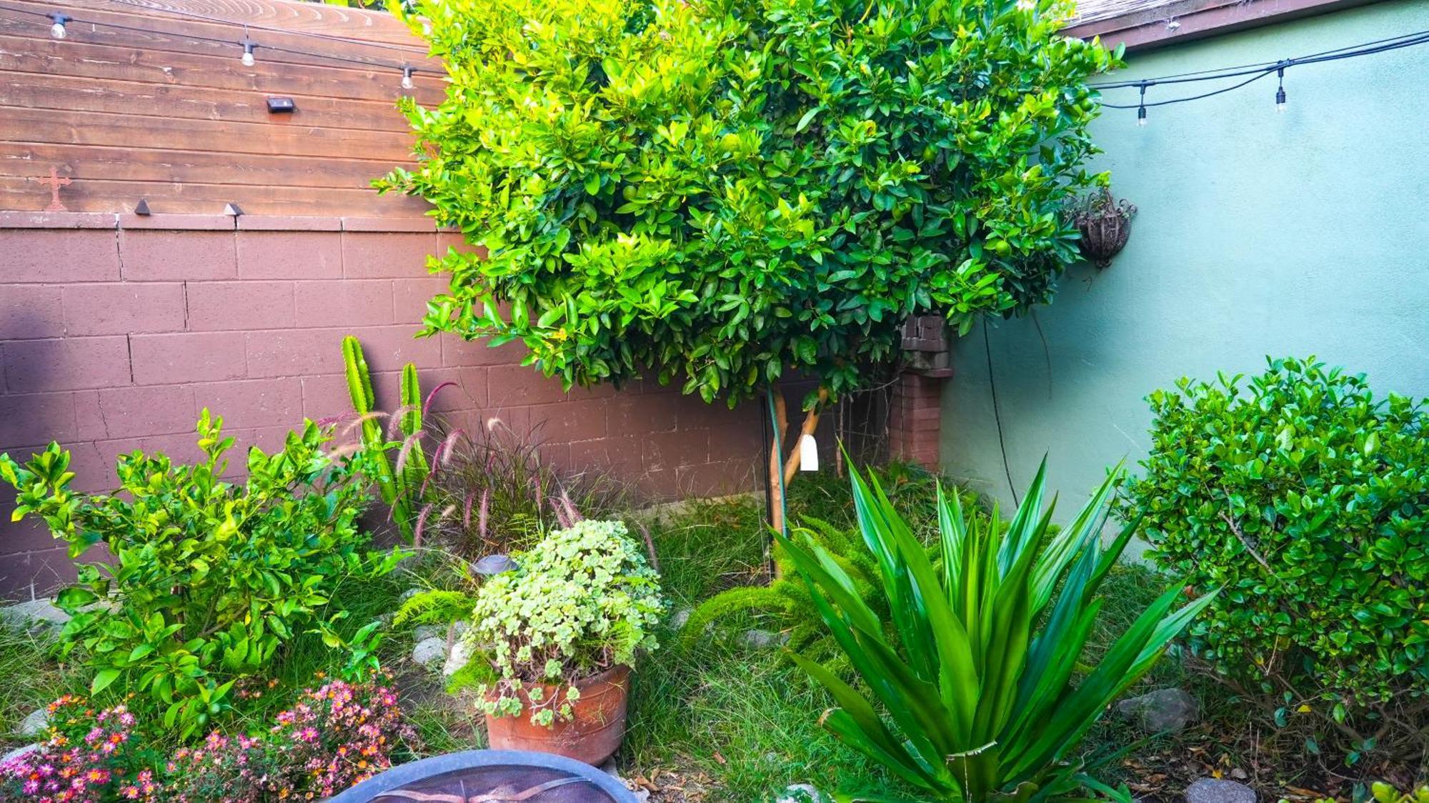 Cozy Private Guest House Los Angeles Eksteriør bilde